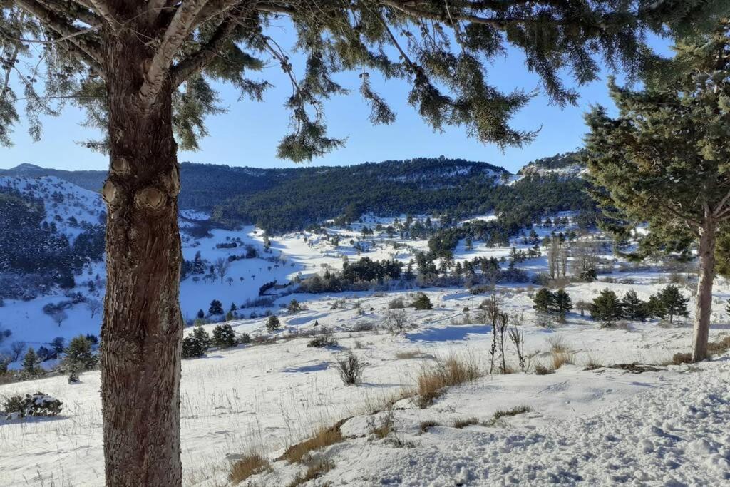 Apartamento Solano - Virgen De La Vega - Alcala Ideal Montana Y Relax เตรูเอล ภายนอก รูปภาพ